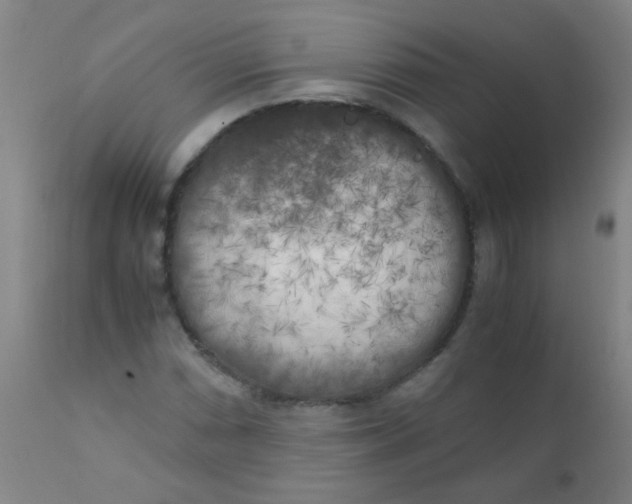 X0000110731066200907022105