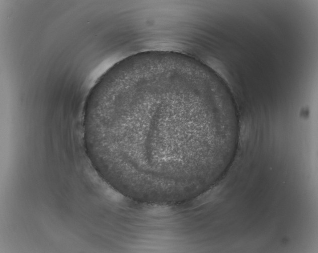 X0000110731071200907022104