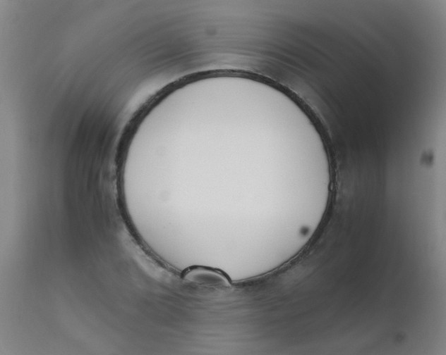 X0000110731072200907022104