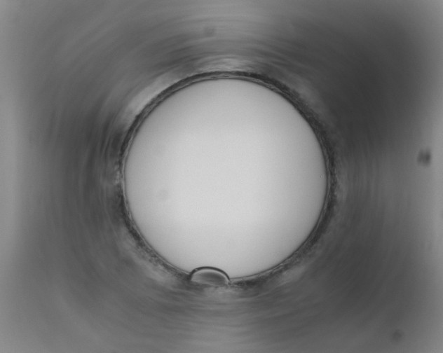 X0000110731073200907022104