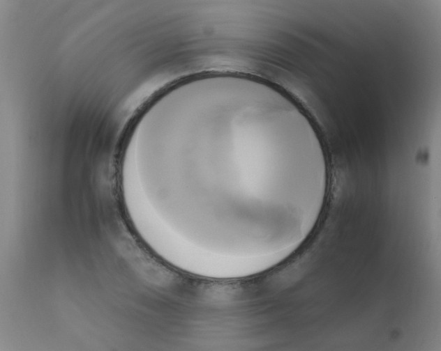 X0000110731074200907022104