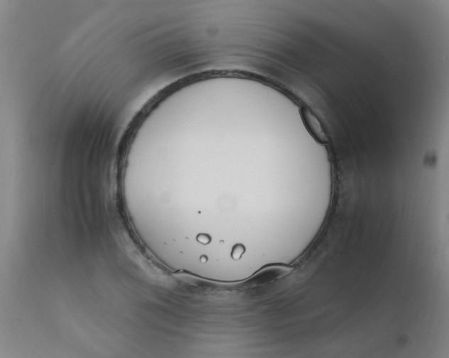 X0000110731076200907022104