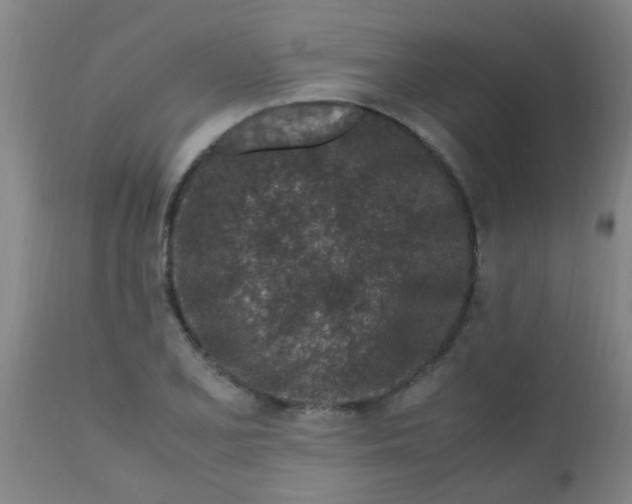 X0000110731077200907022104