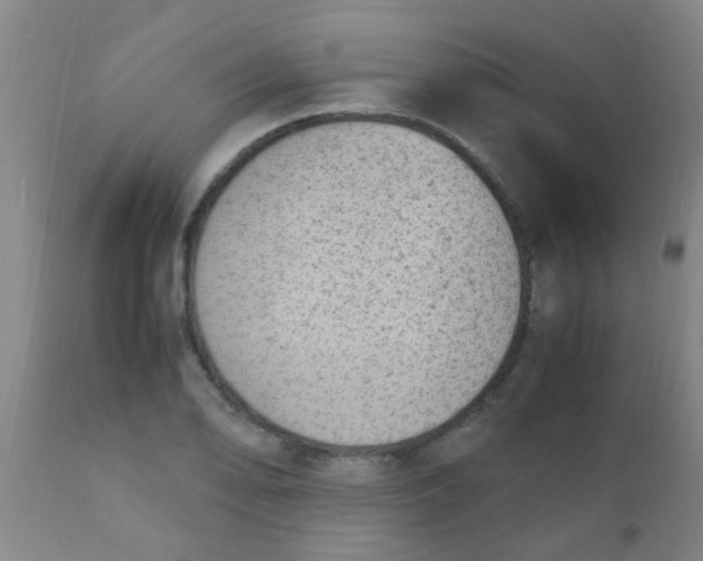 X0000110731078200907022104