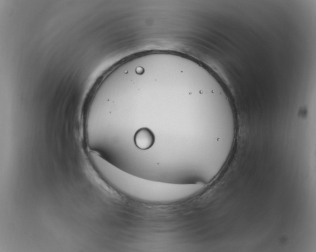 X0000110731080200907022104