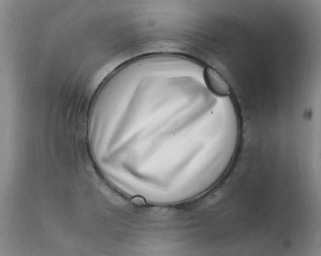 X0000110731081200907022104