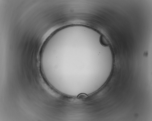 X0000110731082200907022104