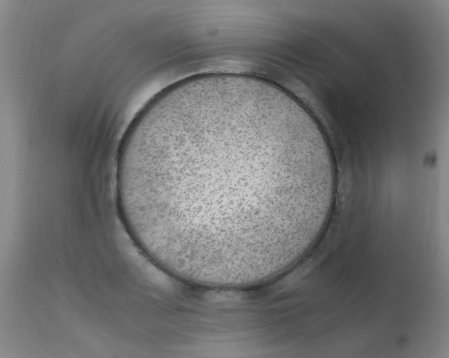 X0000110731083200907022104