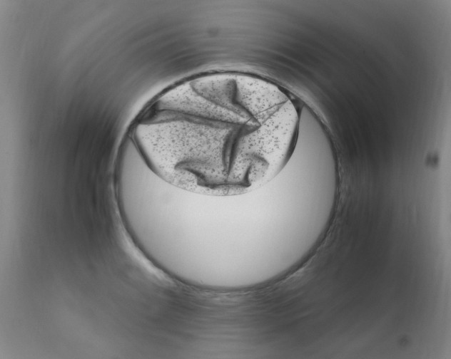 X0000110731084200907022104