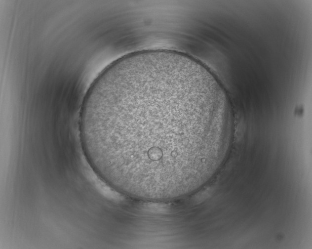 X0000110731086200907022104