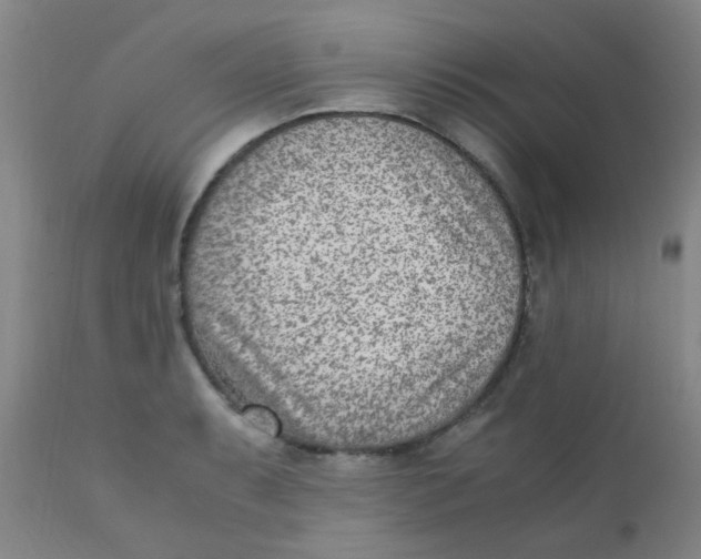 X0000110731087200907022104