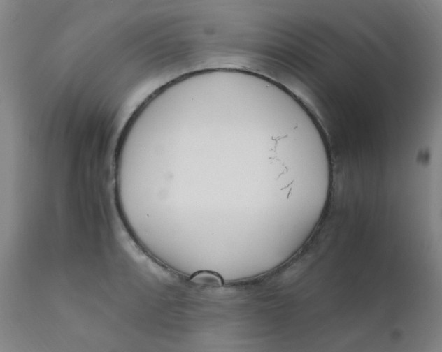 X0000110731088200907022104