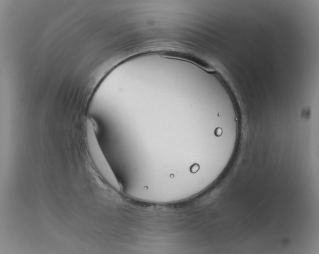 X0000110731089200907022104