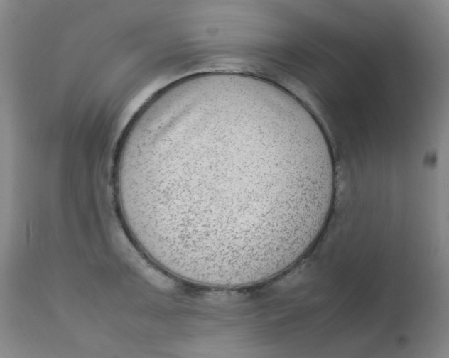 X0000110731091200907022104