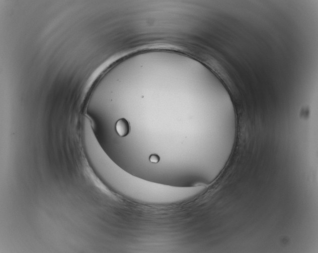 X0000110731092200907022104