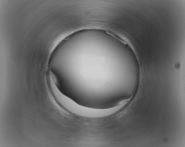 X0000110731093200907022104