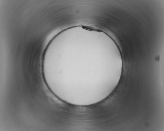 X0000110731096200907022104