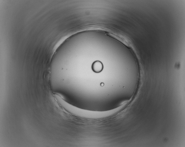 X0000110731097200907022104