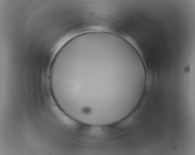 X0000110731098200907022104