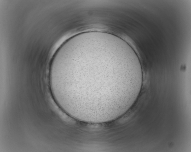 X0000110731099200907022104