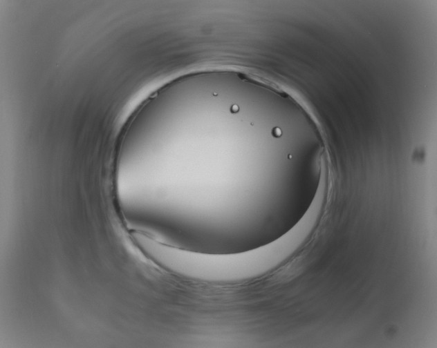 X0000110731101200907022104