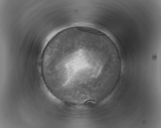 X0000110731102200907022104