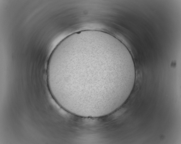 X0000110731103200907022104