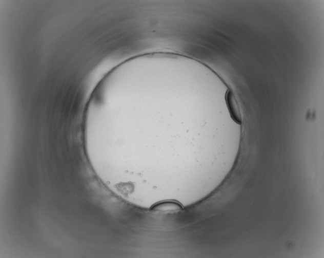 X0000110731104200907022104