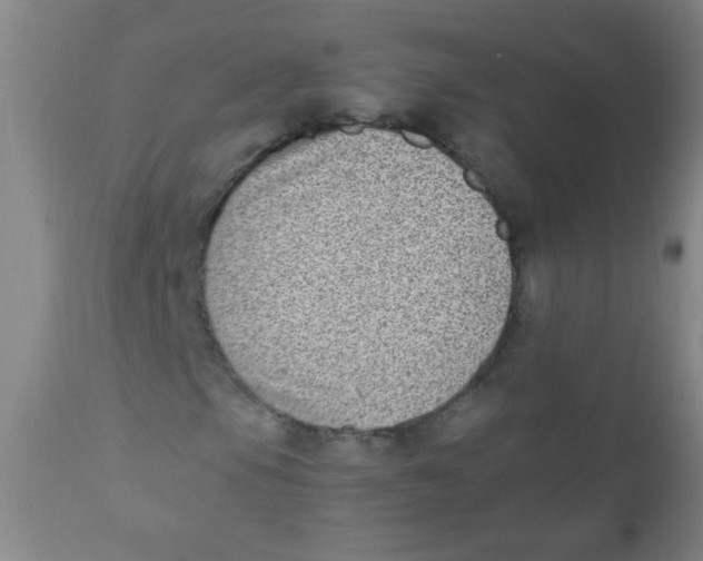 X0000110731105200907022103