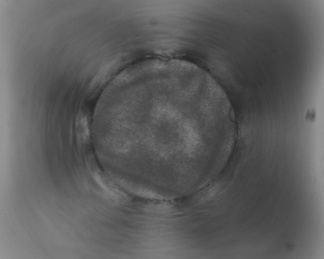 X0000110731106200907022103