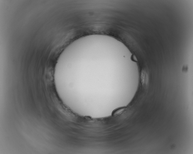 X0000110731107200907022103