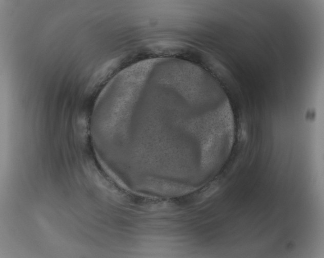 X0000110731108200907022103