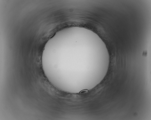 X0000110731109200907022103