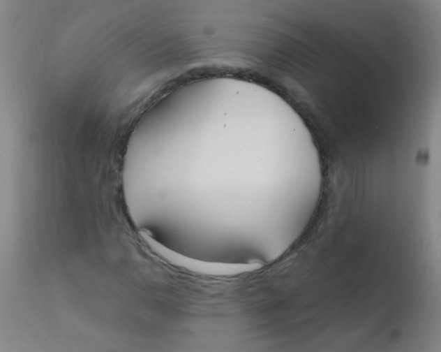 X0000110731110200907022103