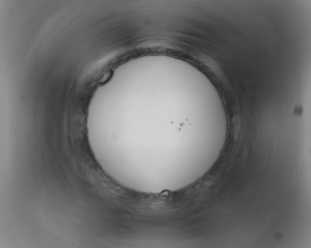 X0000110731111200907022103