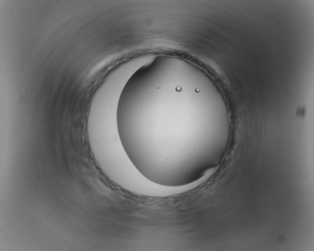 X0000110731112200907022103