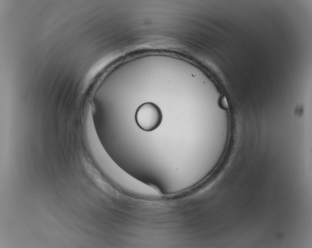 X0000110731114200907022103