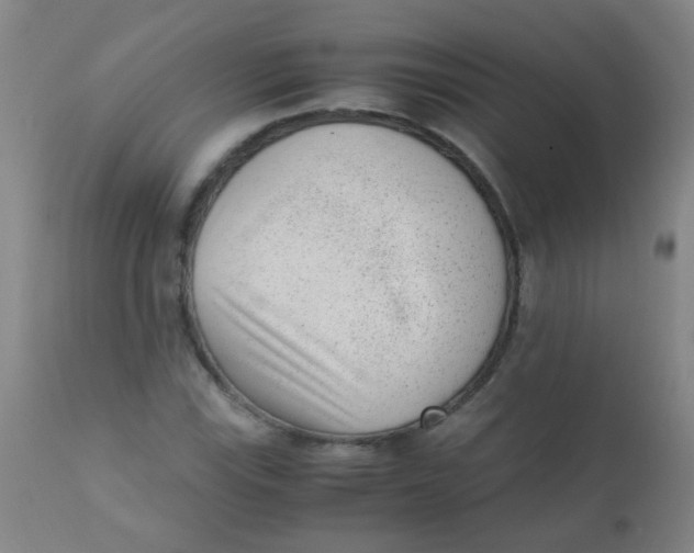 X0000110731115200907022103