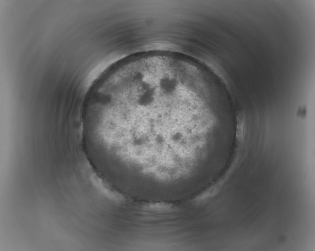 X0000110731117200907022103