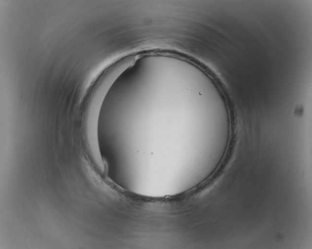 X0000110731118200907022103