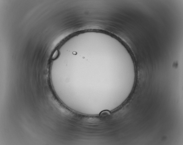 X0000110731119200907022103