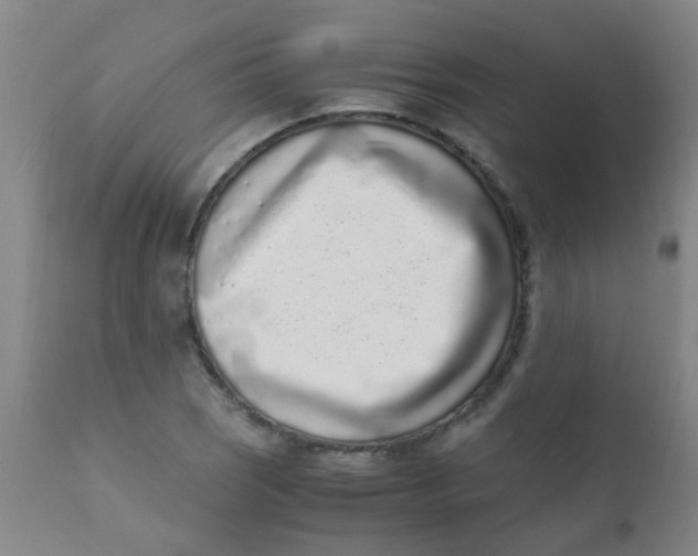 X0000110731121200907022103