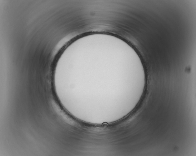 X0000110731122200907022103