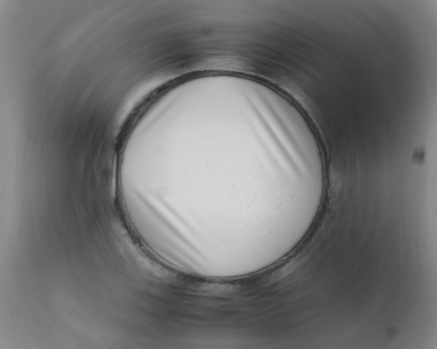 X0000110731123200907022103