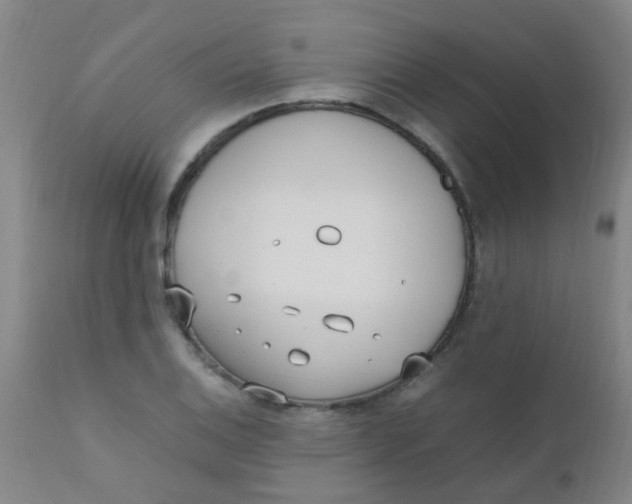 X0000110731124200907022103