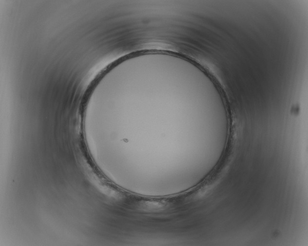 X0000110731125200907022103