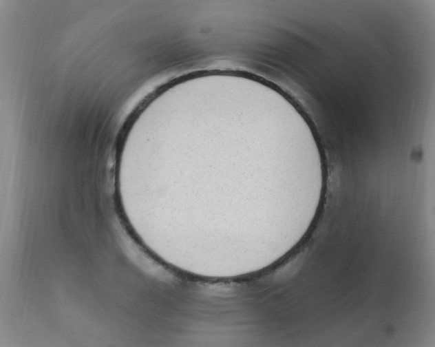 X0000110731126200907022103