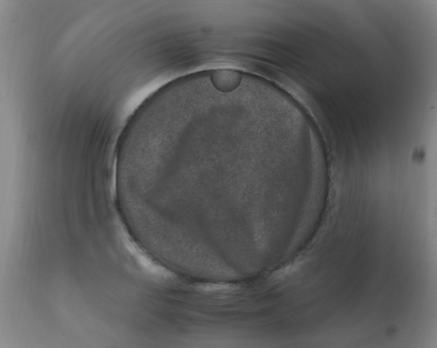 X0000110731127200907022103