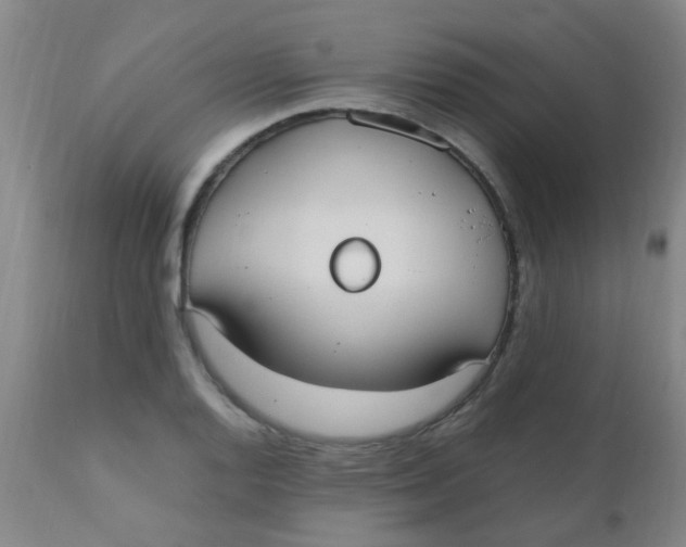 X0000110731128200907022104