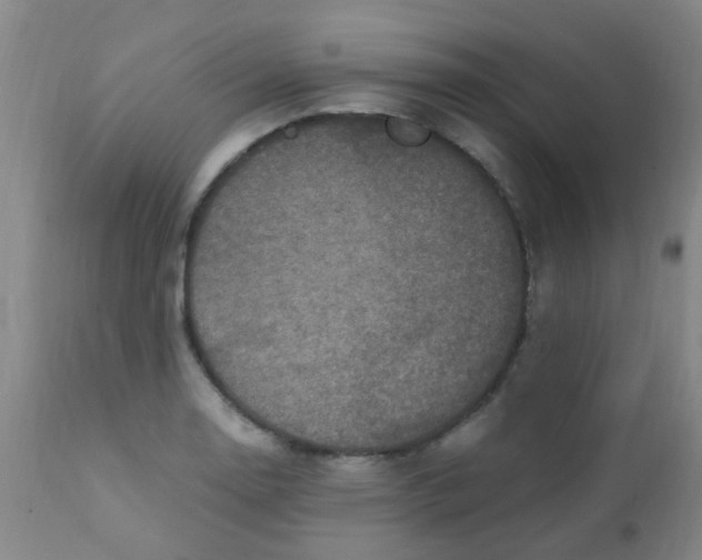 X0000110731130200907022104